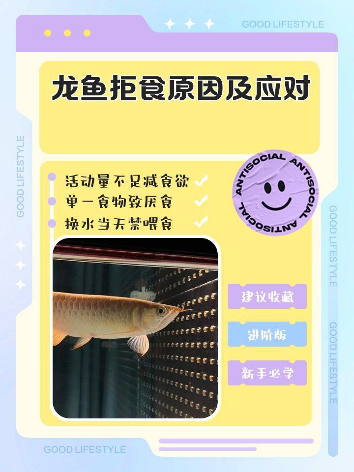 龍魚賽級最討厭三個東西