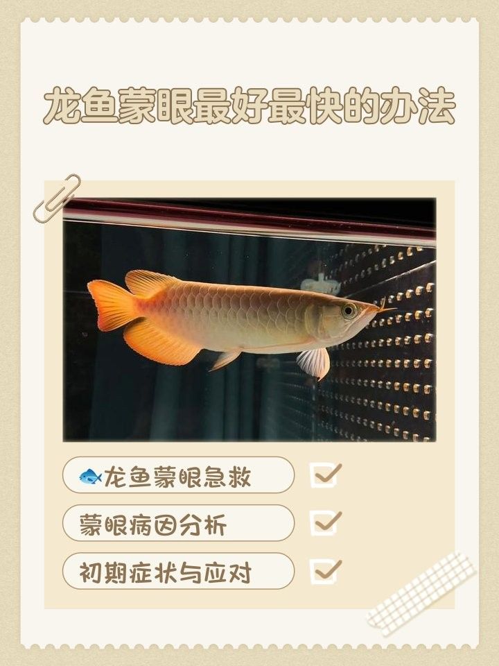 龍魚蒙眼期間多久換一次水？