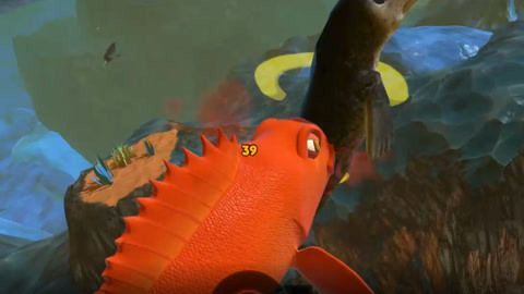 大紅龍魚視頻：紅龍魚40公分最貴的紅龍魚視頻