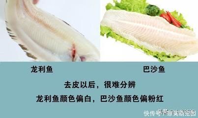 巴沙魚與龍利魚區別：如何辨別巴沙魚和龍利魚