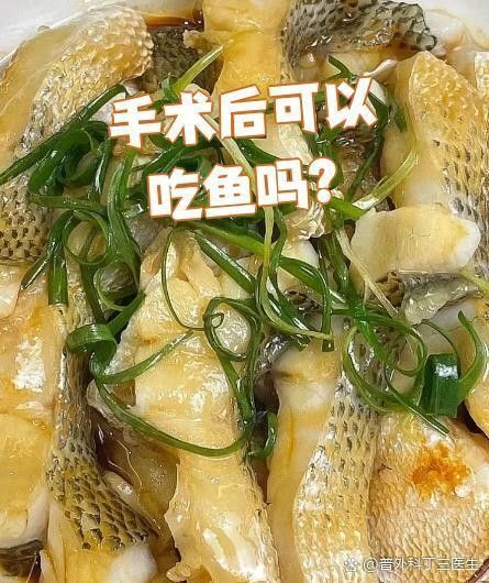 龍魚怎么做手術(shù)吃的