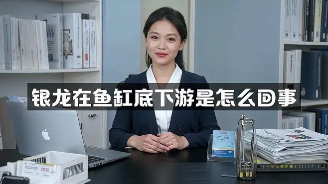 如何保持銀龍魚缸的水質穩定？