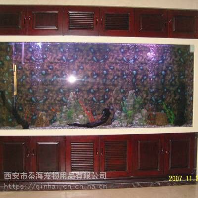 西安魚缸祥龍魚場魚缸