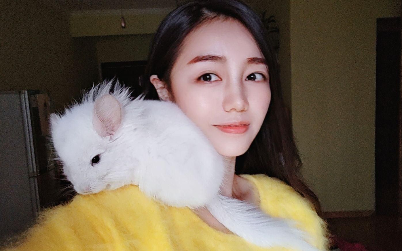 龍貓可以合籠養(yǎng)嗎