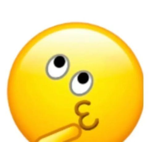 龍貓可以合籠養(yǎng)嗎