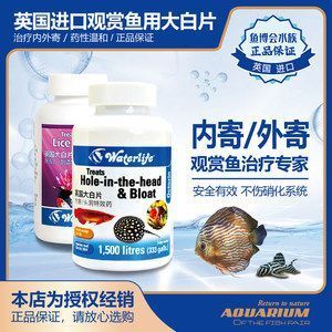 龍魚怎么預防內寄蟲病發病呢