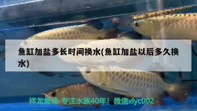 魚缸加鹽多長時間換水(魚缸加鹽以后多久換水)