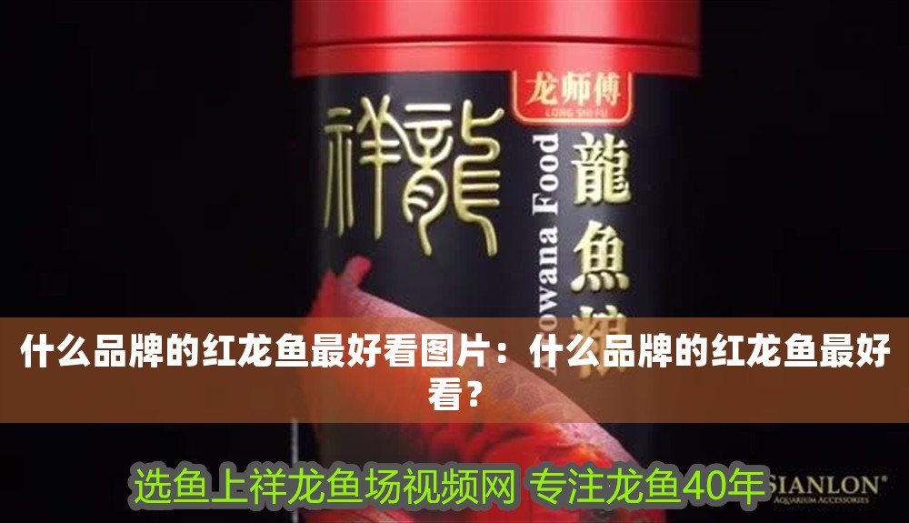 什么品牌的紅龍魚(yú)最好看圖片：什么品牌的紅龍魚(yú)最好看？