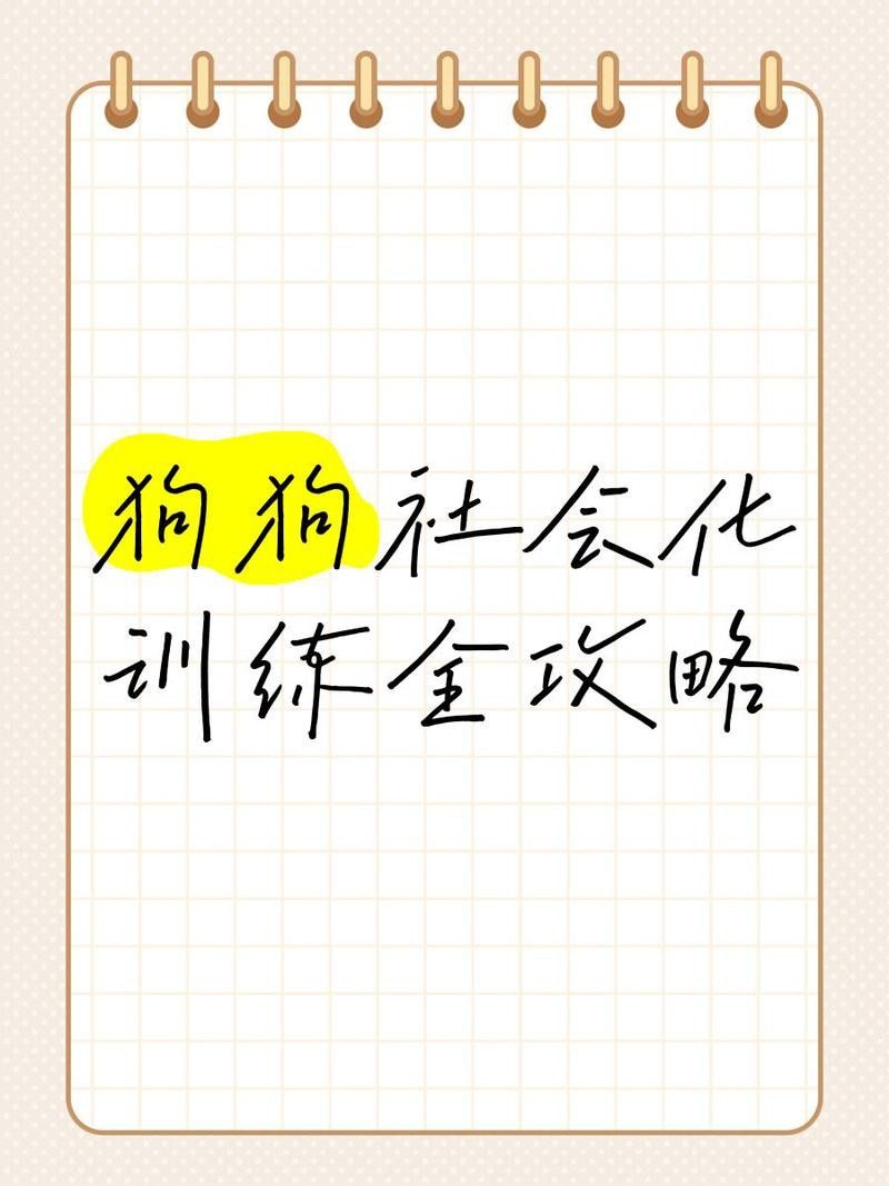 紅龍犬的社會化訓練方法