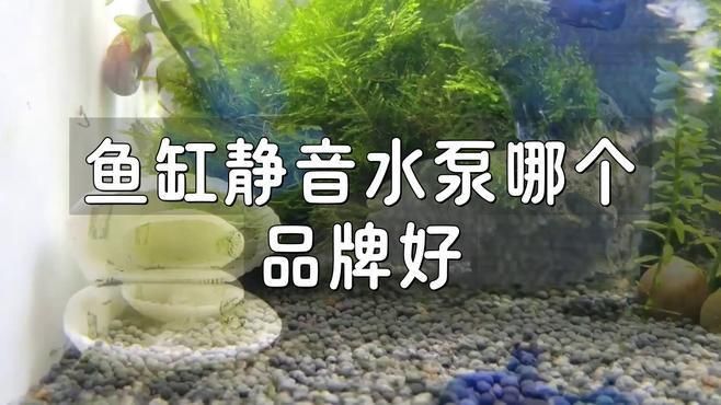 口碑最好的三款靜音水泵
