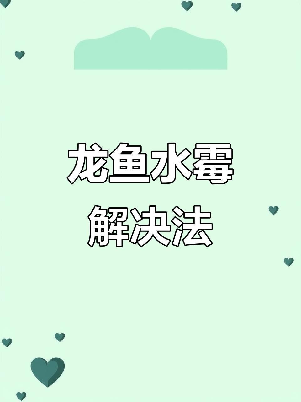 龍魚背上黑霉治療周期