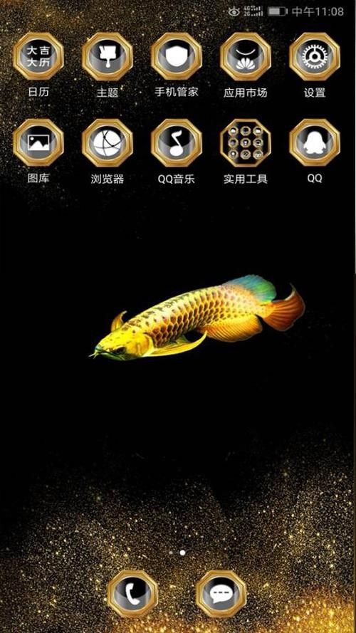 黑色金龍魚價(jià)格和圖片大全