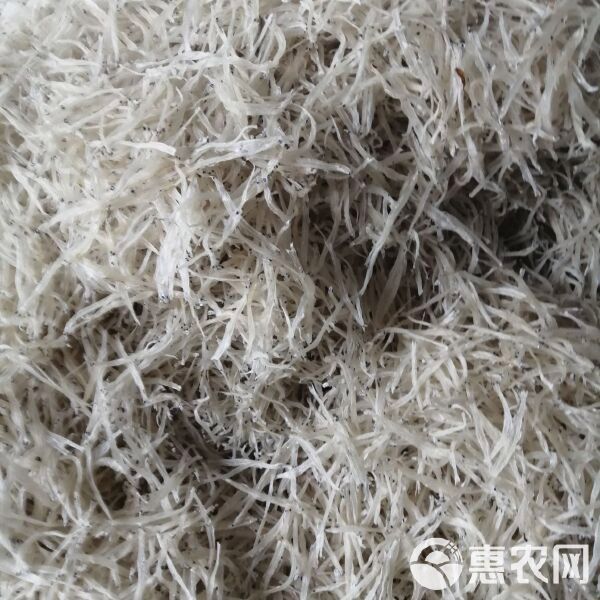 瀾滄江龍魚價(jià)格行情