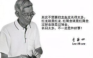 李亞四金龍魚的市場價格如何？