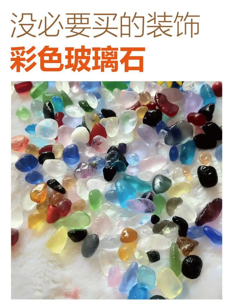 龍龜放魚缸的害處