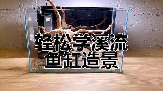 銀龍魚爛嘴怎么辦圖片視頻大全