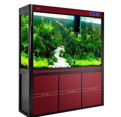 龍魚缸過濾系統安裝圖：魚缸過濾系統安裝圖詳情