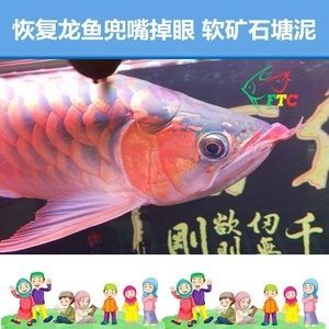 龍魚掉眼怎么看出來是活的：如何判斷龍魚是否掉眼