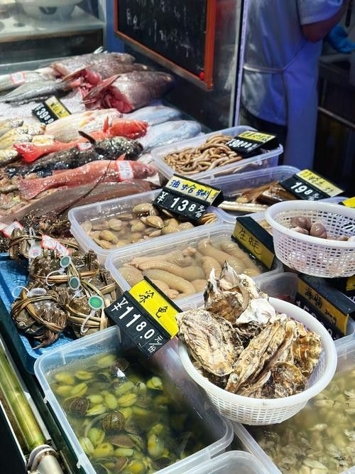 溫州龍魚哪里賣的最好最便宜