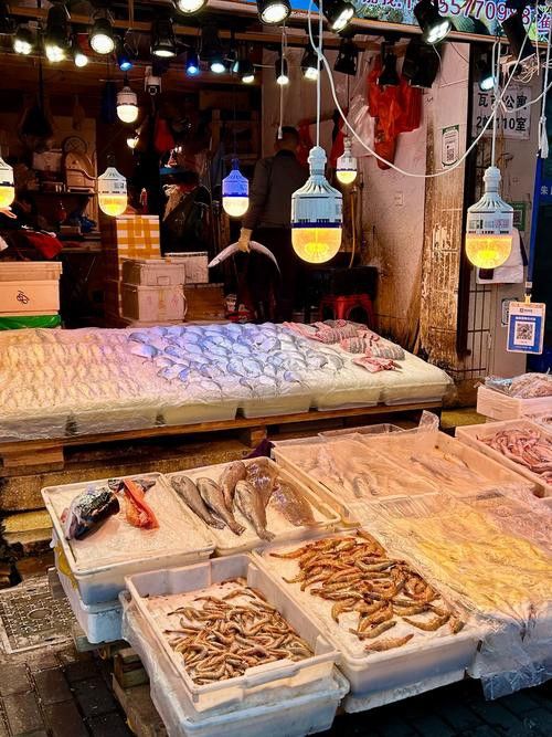 溫州龍魚哪里賣的最好最便宜