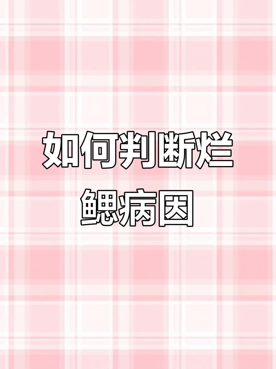 龍魚爛鰓病如何早期診斷？
