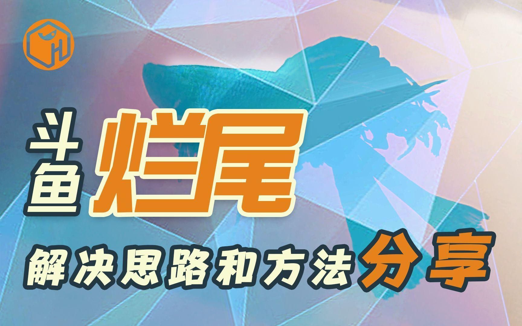 如何判斷魚爛尾是否好轉？