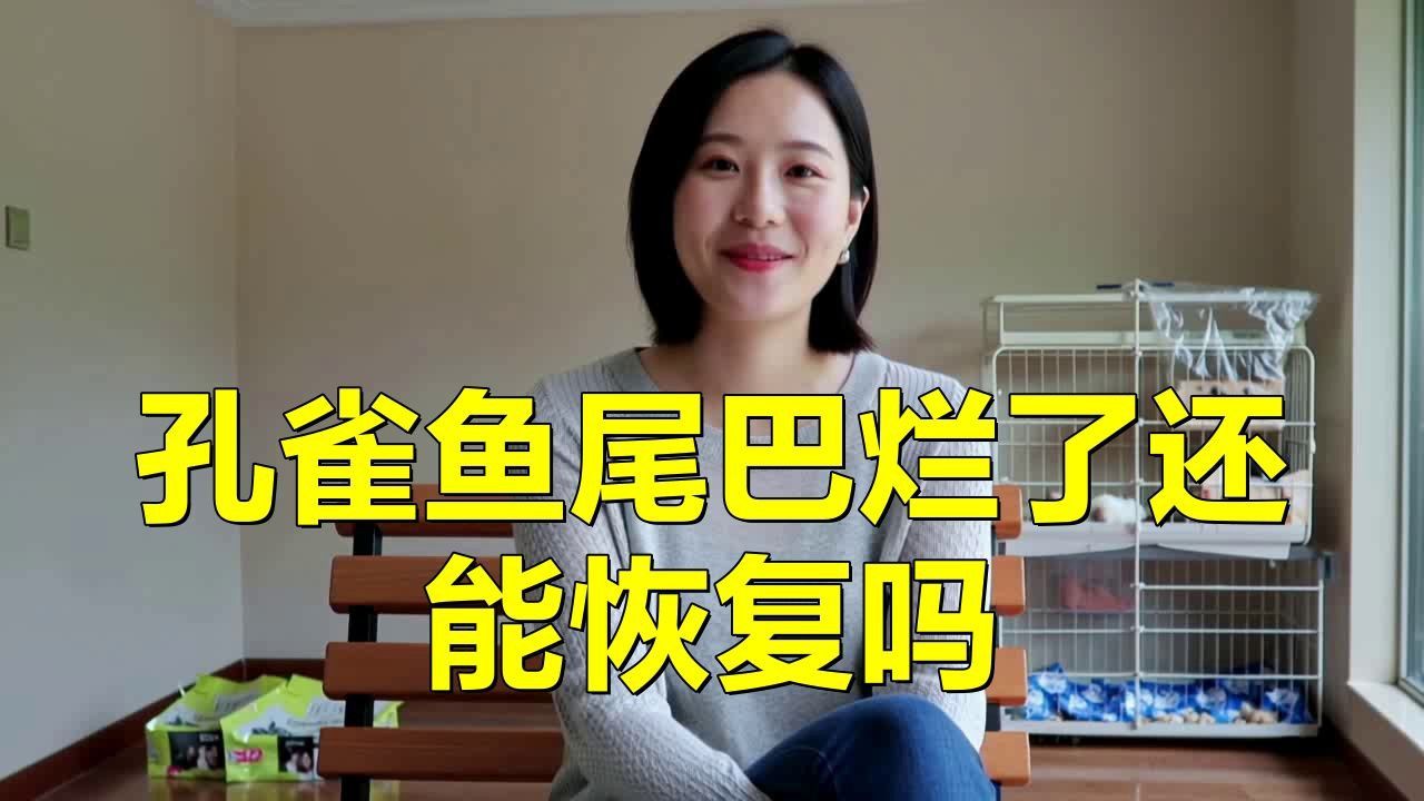 如何判斷魚爛尾是否好轉？