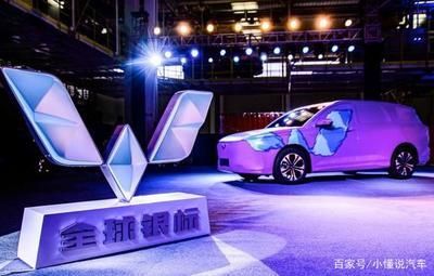 銀板魚混養空間布局技巧：銀板魚混養時空間布局的技巧
