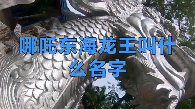 列舉一些現(xiàn)代文藝作品中東海龍王的名字