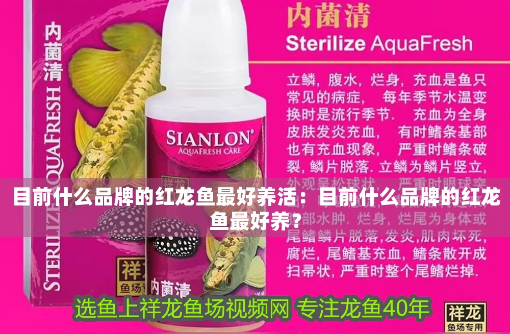 目前什么品牌的紅龍魚最好養活：目前什么品牌的紅龍魚最好養？