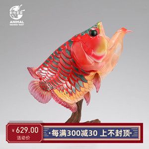 龍魚在缸里上下游張嘴（為什么龍魚在缸里上下游張嘴）