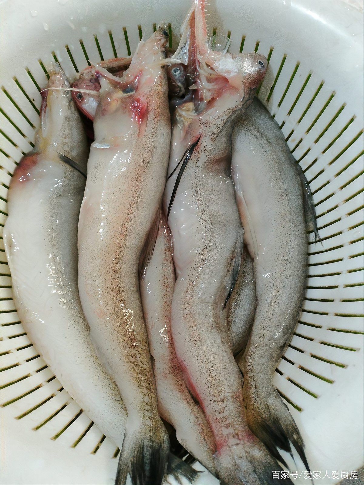 小龍魚(yú)怎么制作