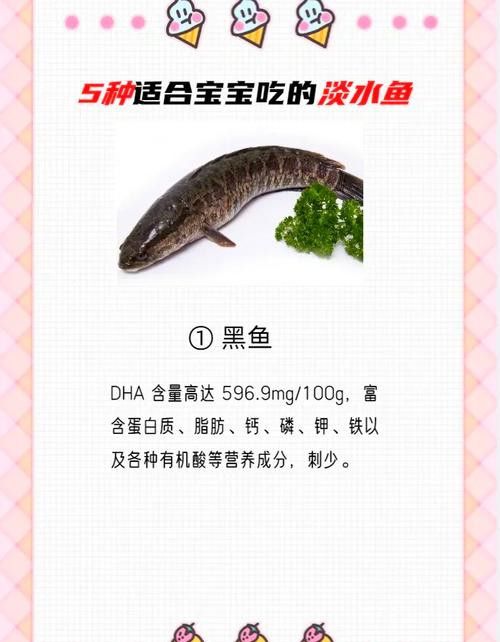 烏魚和龍魚區別圖片大全