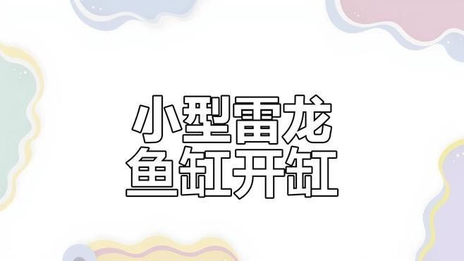 龍魚缸貼什么背景紙好看