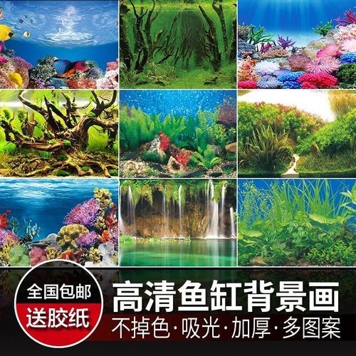 龍魚缸貼什么背景紙好看