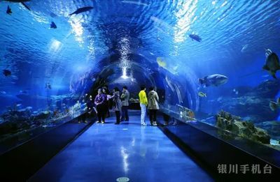 銀川水族館，寧夏銀川水族館特色動物介紹鴻森水族館門票價格及開放時間