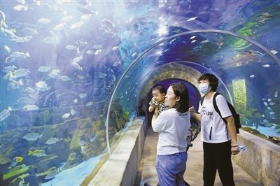 銀川水族館，寧夏銀川水族館特色動物介紹鴻森水族館門票價格及開放時間