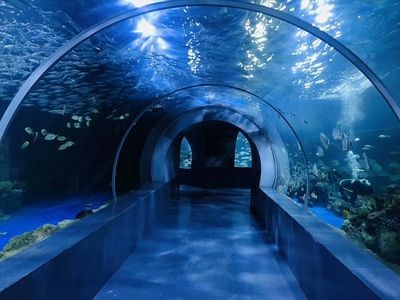 銀川水族館，寧夏銀川水族館特色動物介紹鴻森水族館門票價格及開放時間