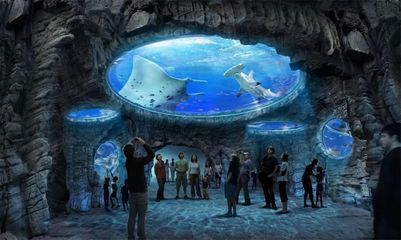 銀川水族館，寧夏銀川水族館特色動物介紹鴻森水族館門票價格及開放時間