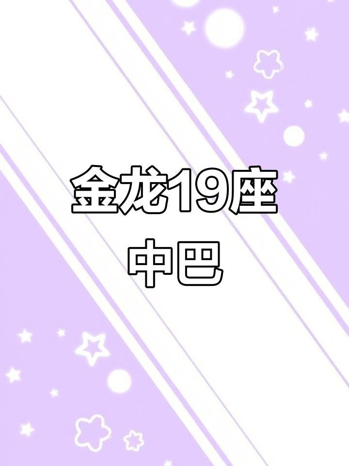 如何判斷蘇州金龍19座客車的性能？