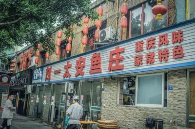 成都金龍魚港咋樣啊（金龍魚港海鮮自助餐）