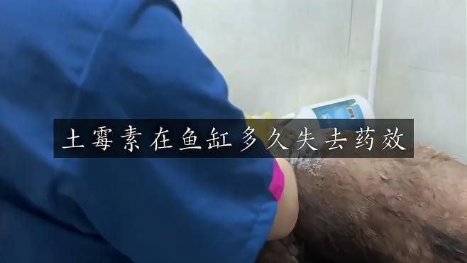 土霉素治療魚腹水的休藥期具體多久？