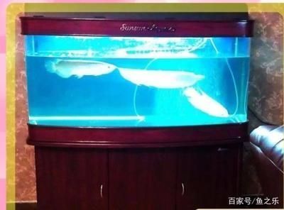 龍魚放小缸里會(huì)死嗎？：龍魚在小缸里不會(huì)立即死亡，但這種養(yǎng)殖方式會(huì)影響它們的生存