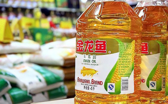 金龍魚是國外企業嗎