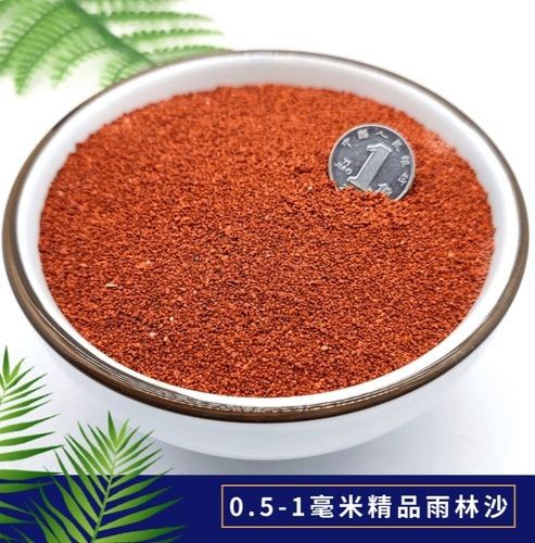 紅龍魚光照周期的最佳設置：如何選擇紅龍魚專用燈具，紅龍魚光照周期與飲食關系