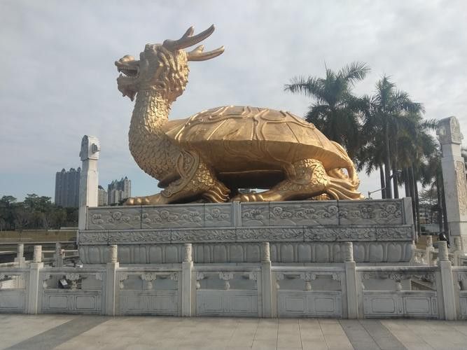 湛江湖光巖龍魚