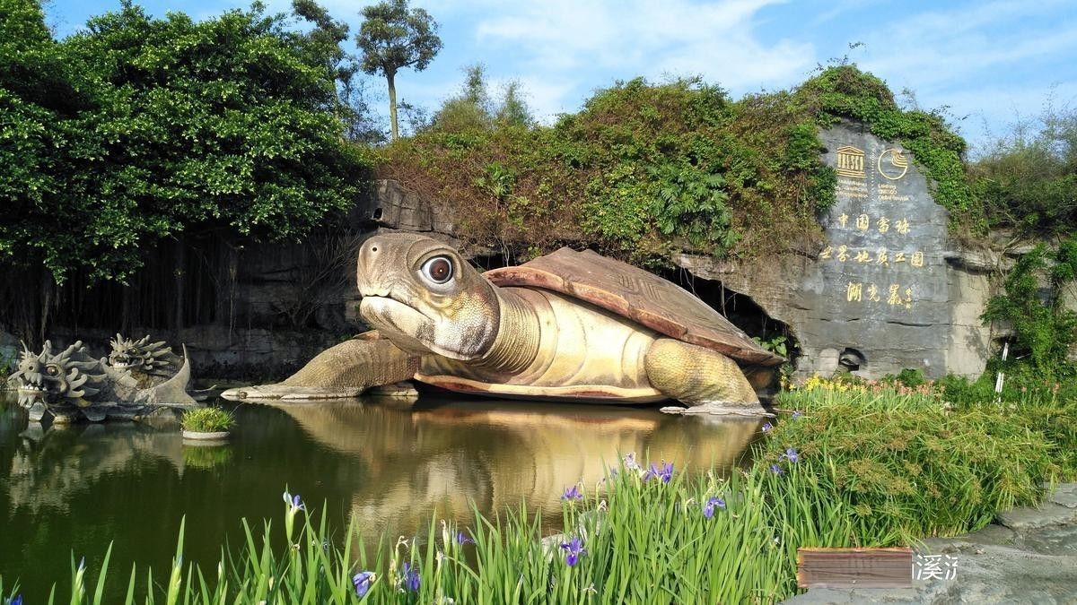 湛江湖光巖龍魚