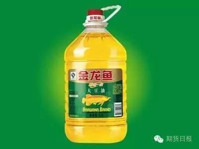 金龍魚眼睛白內障：金龍魚眼睛白內障怎么辦