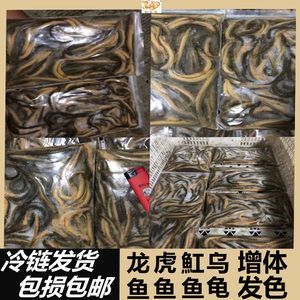 龍魚(yú)如何喂凍的泥鰍段（喂養(yǎng)龍魚(yú)凍的泥鰍段的詳細(xì)步驟）
