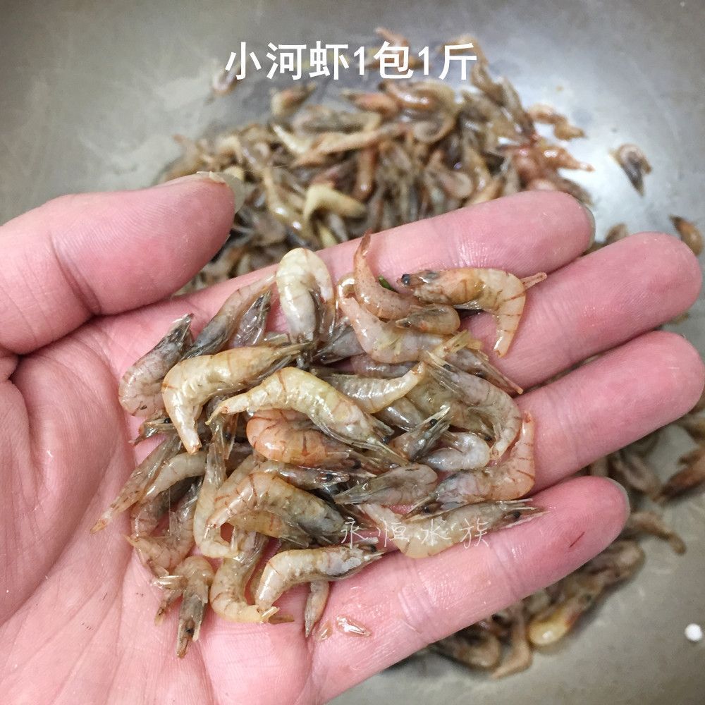 龍魚如何喂凍的泥鰍段（喂養龍魚凍的泥鰍段的詳細步驟）